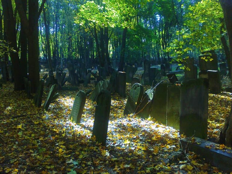 graves-at-jewish-cemeterat-okopowa-st